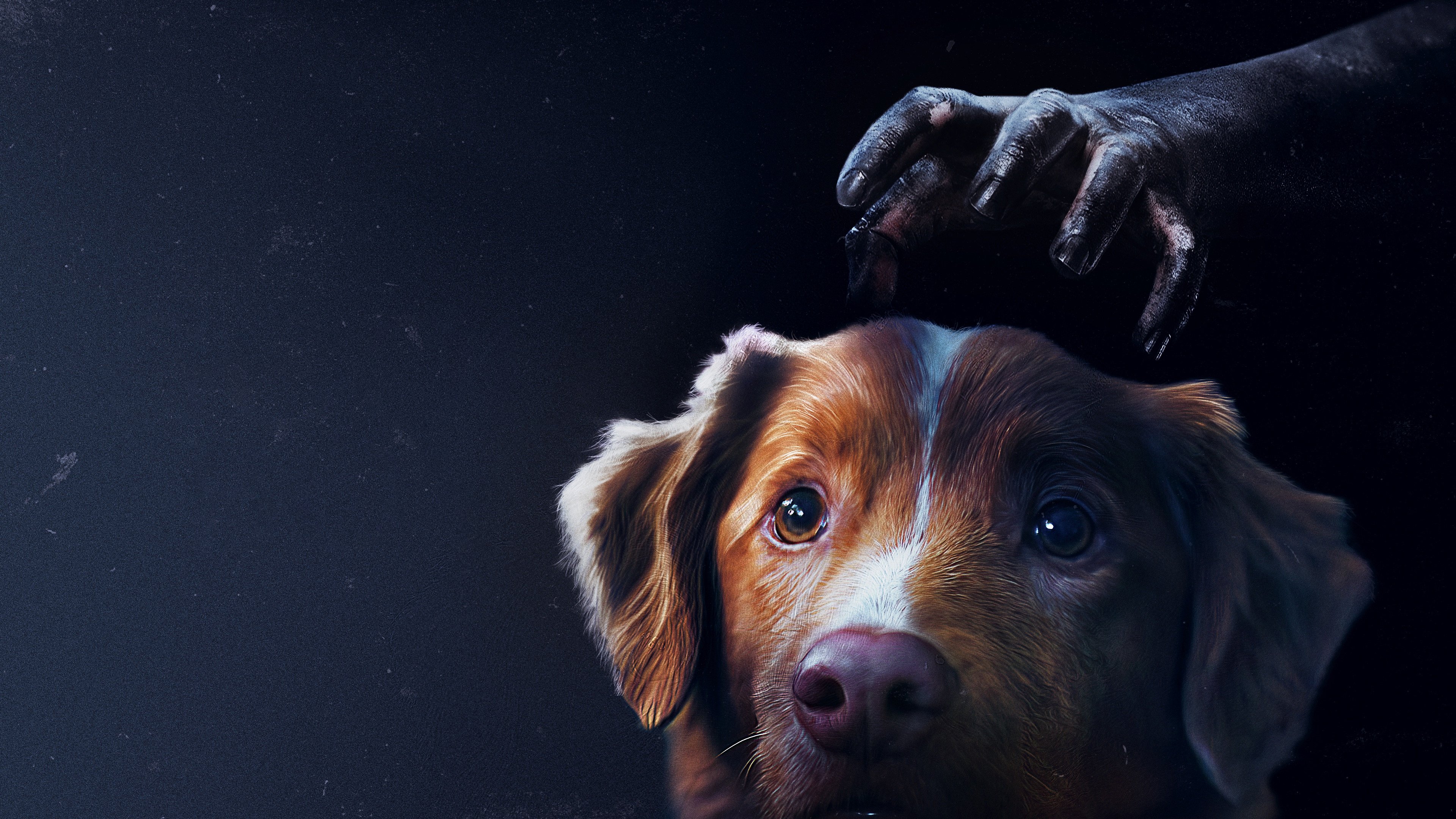 How many days until Good Boy