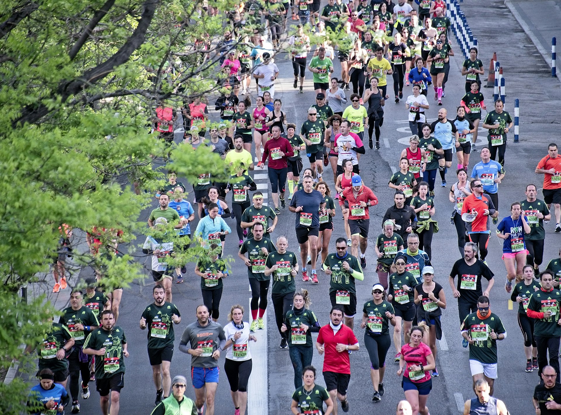 Great Birmingham Run countdown timer - Sport