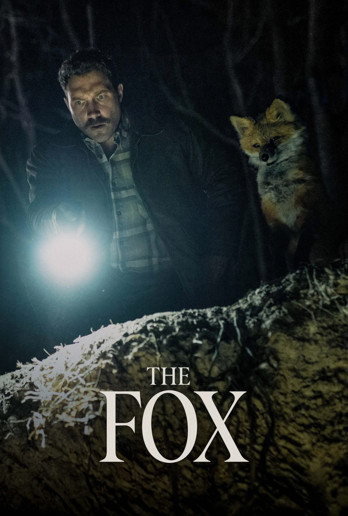 The Fox countdown timer - Movie