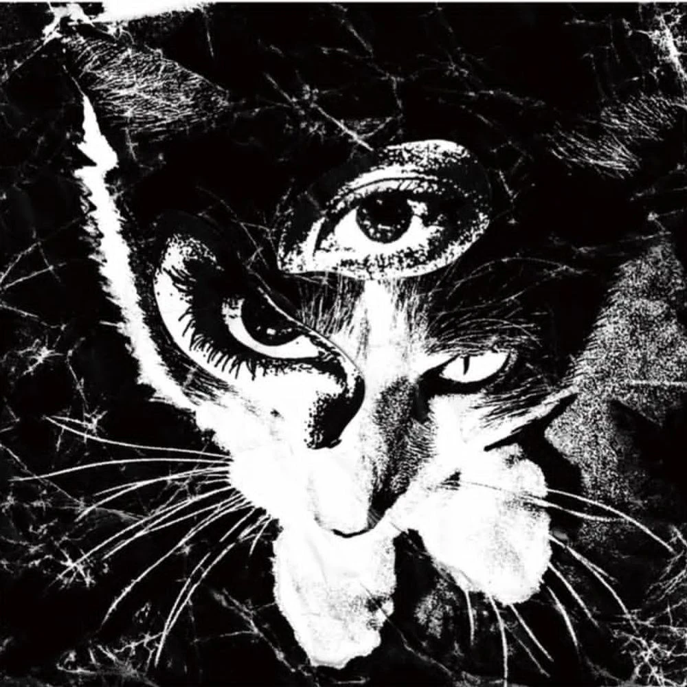 東京酒吐座 [Tokyo Shoegazer] - Remains Release Date countdown - Music