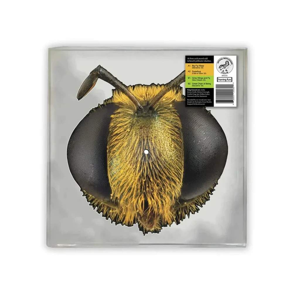 King Gizzard & The Lizard Wizard - Big Fig Wasp Date de sortie countdown - Musique