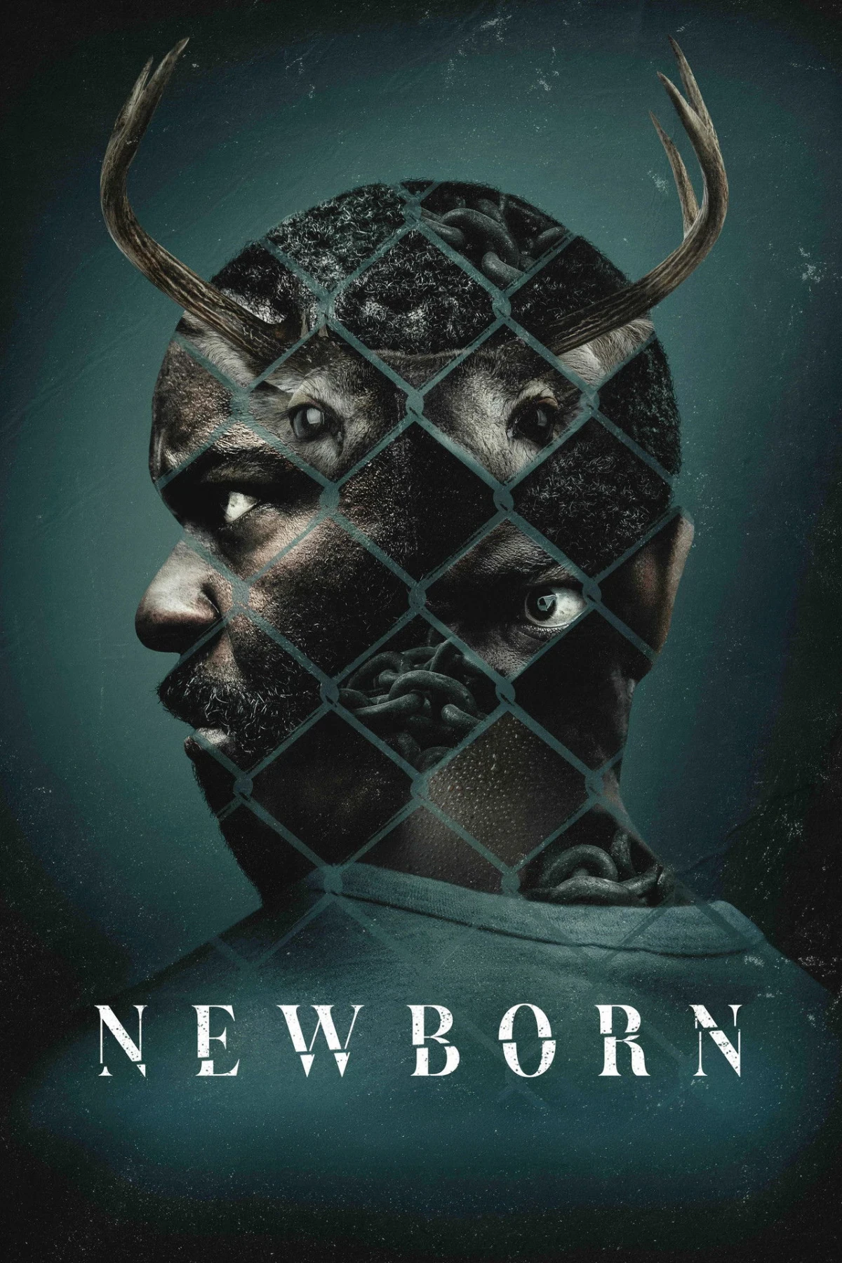 Newborn countdown - Movie