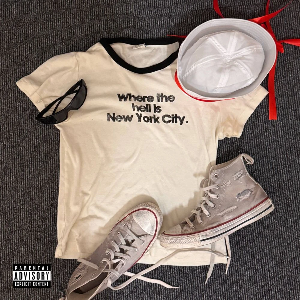 ZEDNED - Where the hell is New York City? Release Date countdown - Music