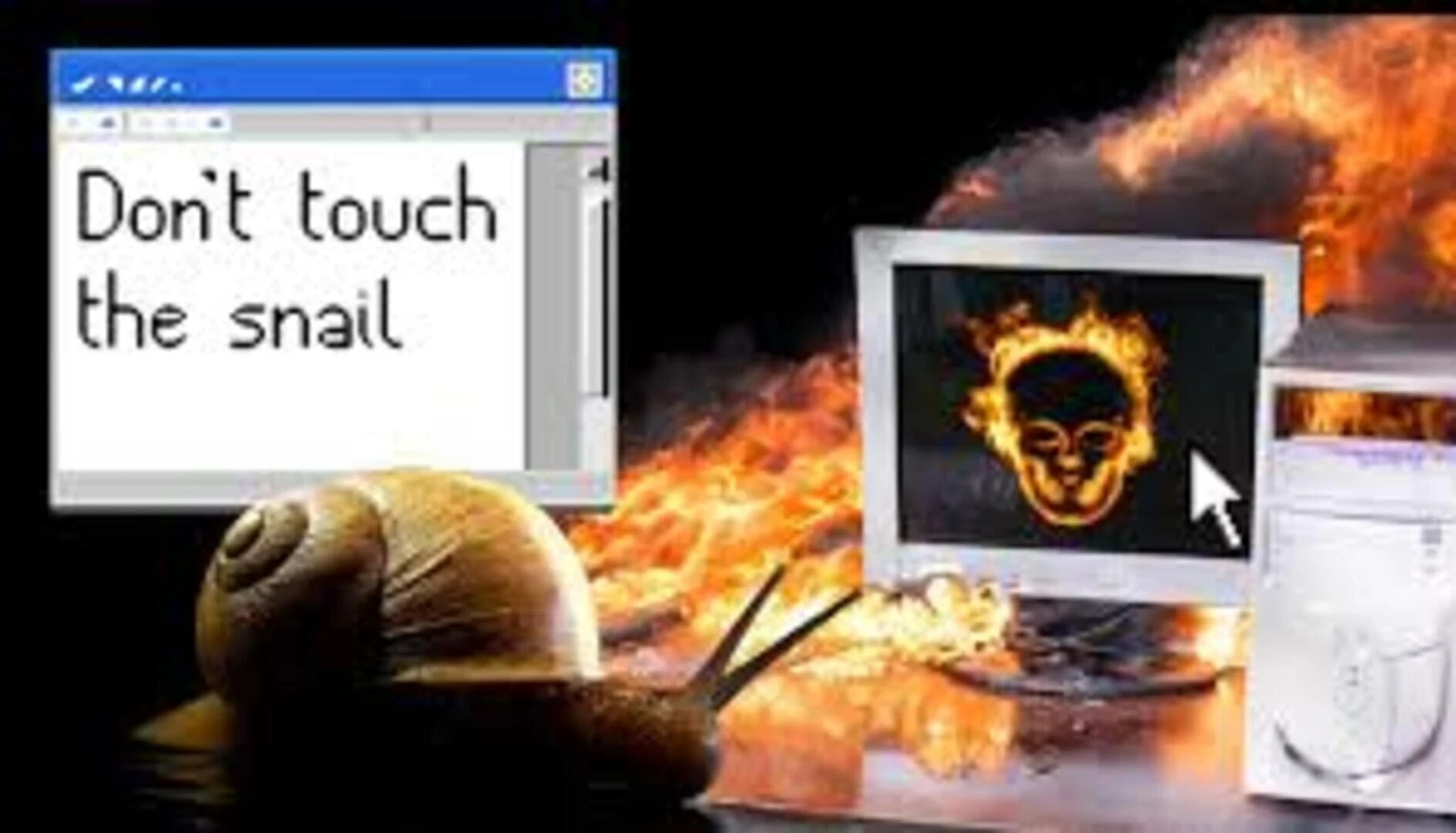 Don't Touch the Snail countdown - Jeu