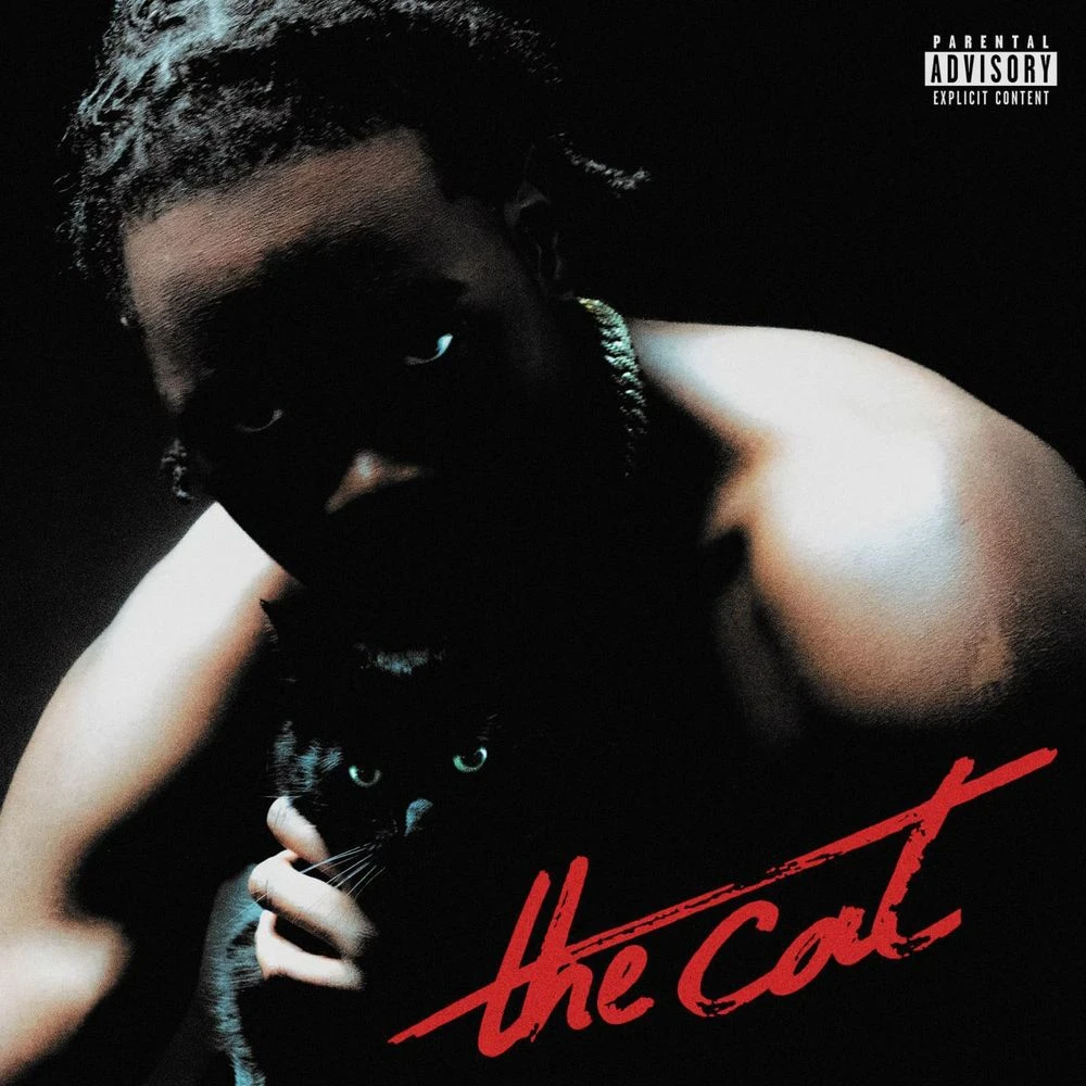 Nono La Grinta - THE CAT Release Date countdown - 音乐