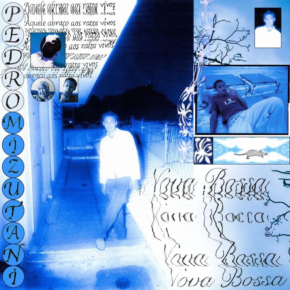 Pedro Mizutani - NOVA BOSSA: aquele abraço aos ratos vivos Release Date countdown - Müzik