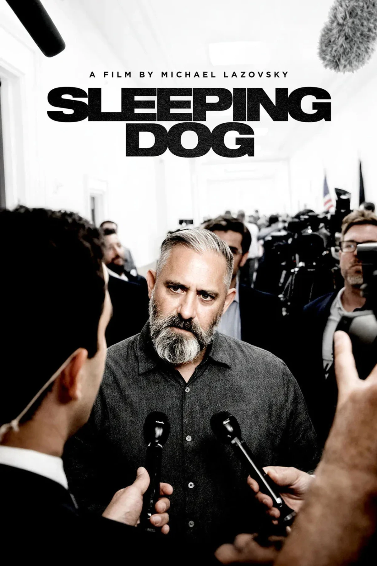Sleeping Dog countdown - Film