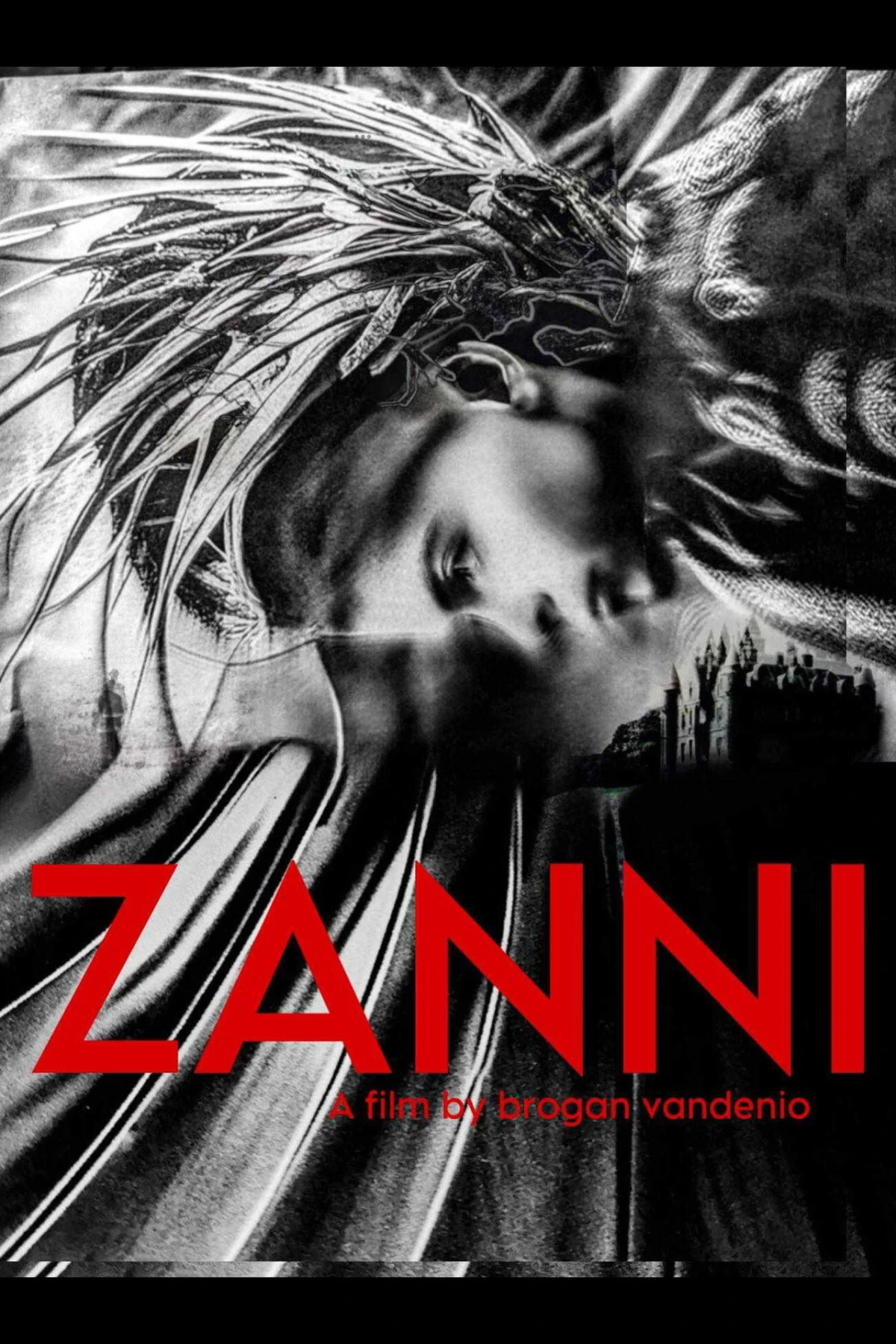 Zanni countdown - Movie