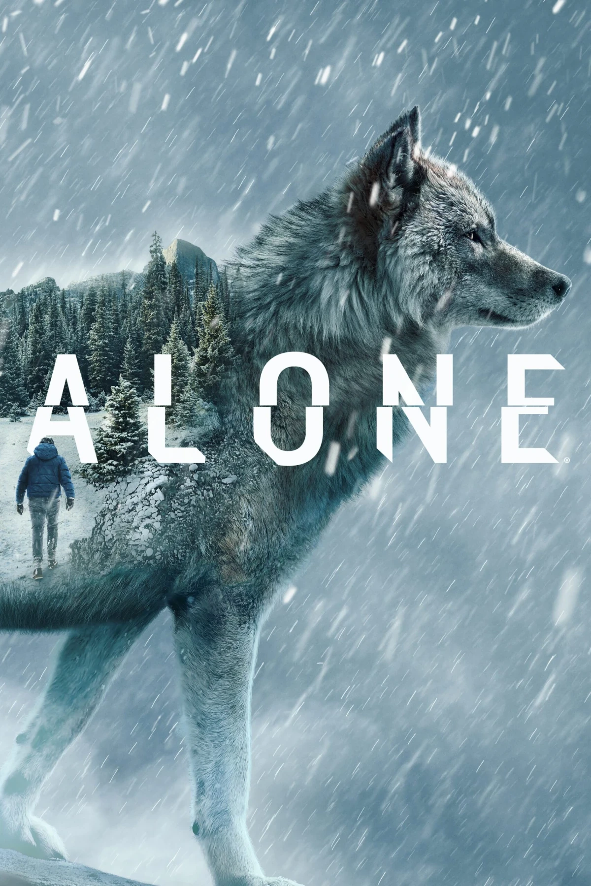 Alone — Season 13 countdown - TV