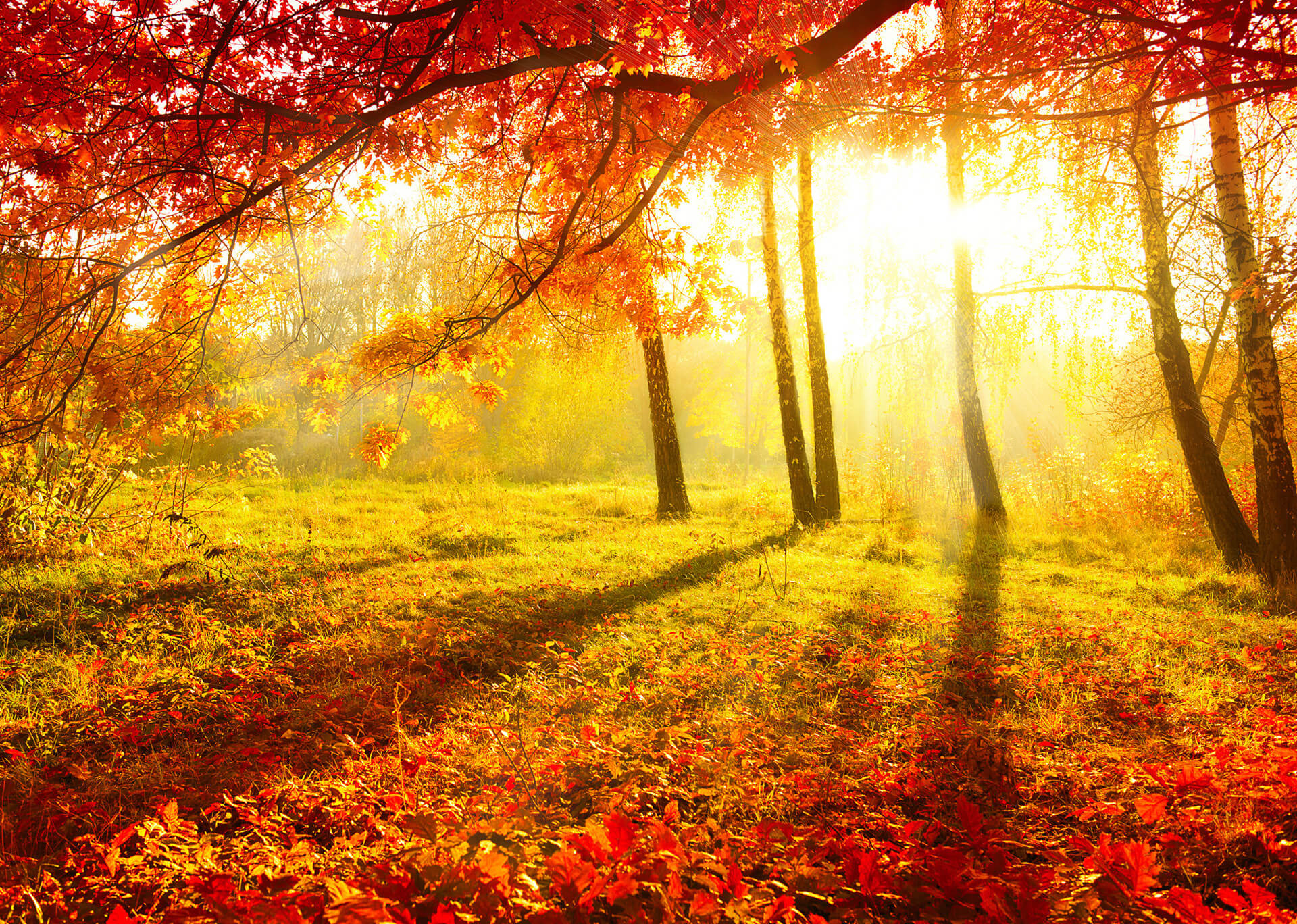 Autumn (or Fall) countdown - Seasons