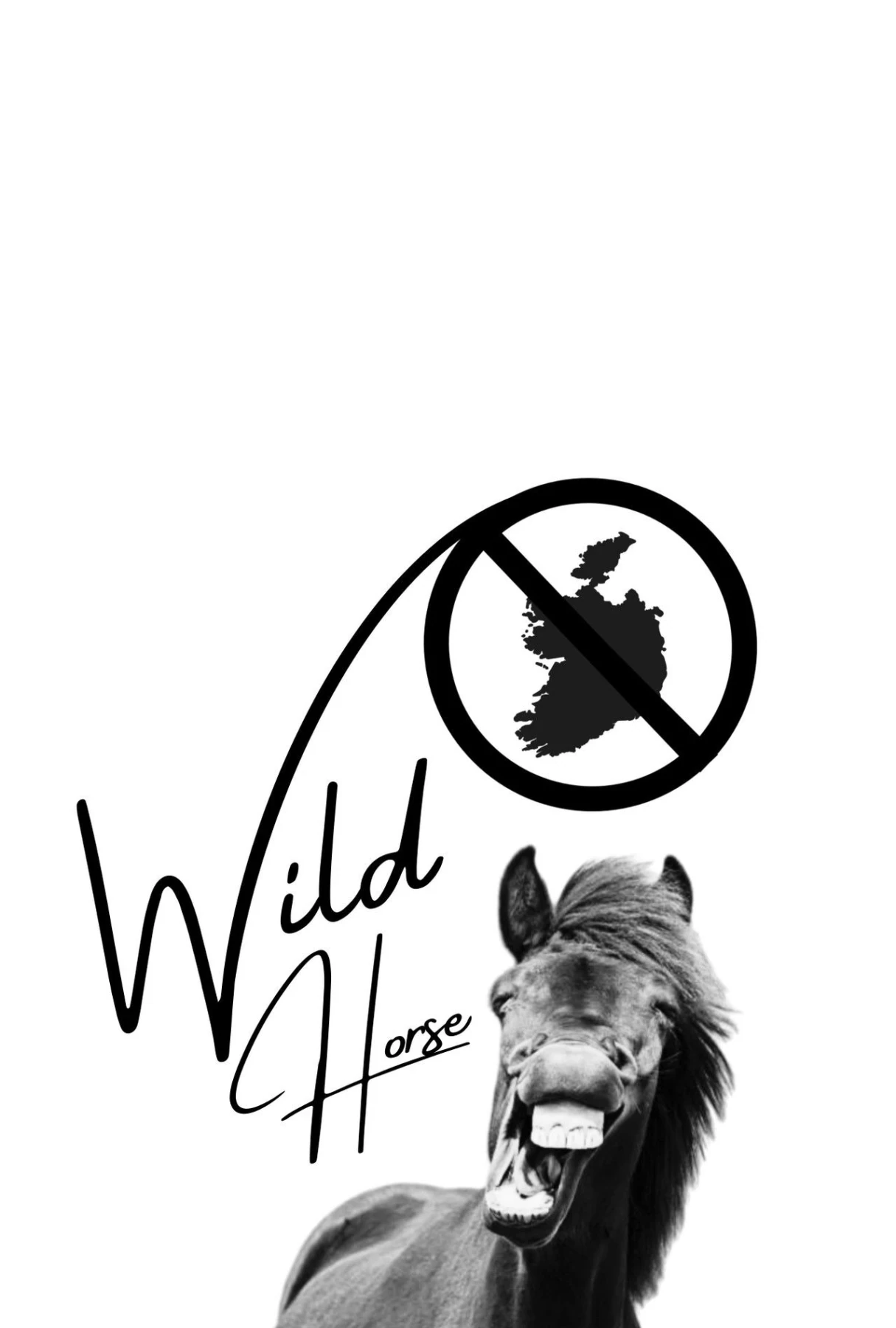 Wild Horse Nine countdown - Movie