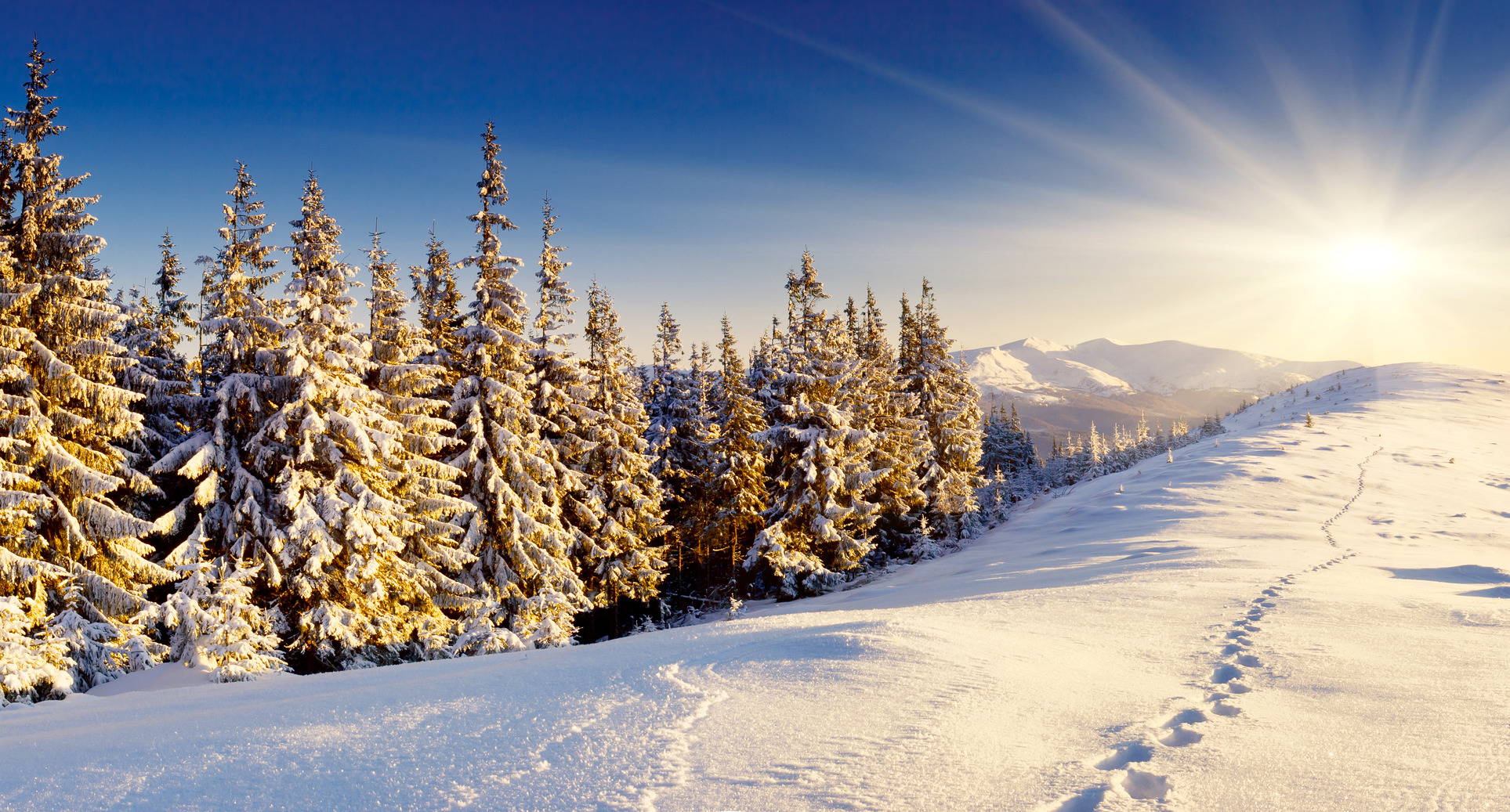Winter countdown - Seasons