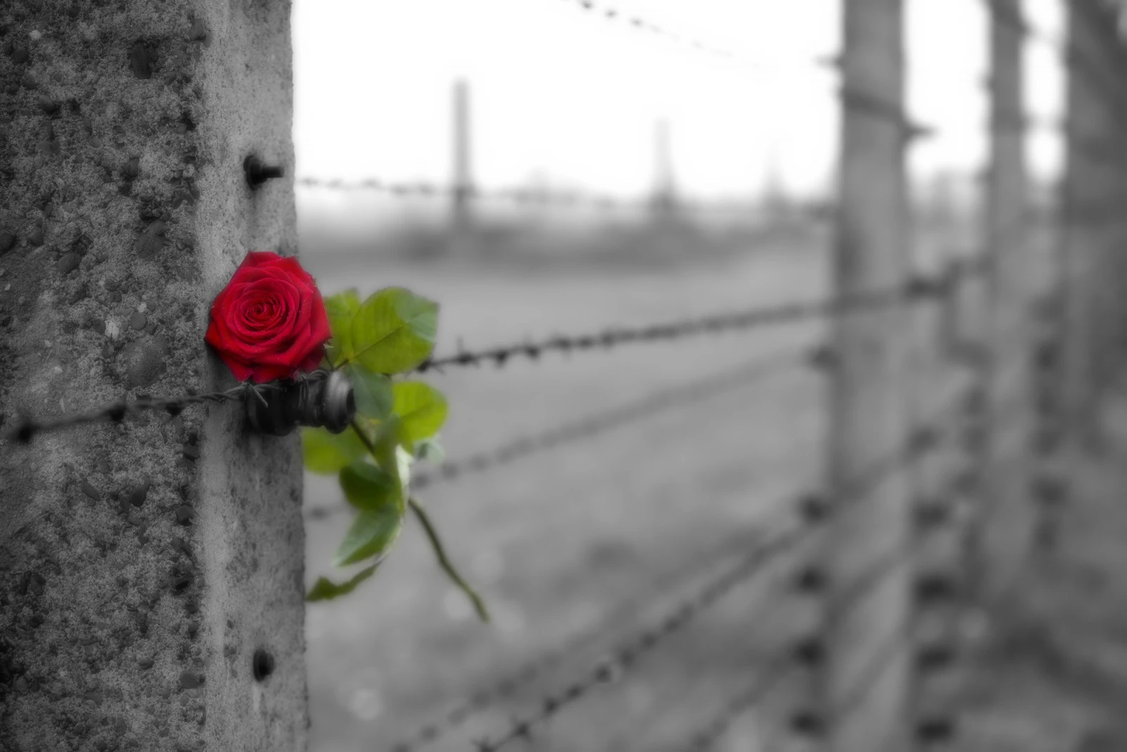 Holocaust Memorial Day countdown - Event