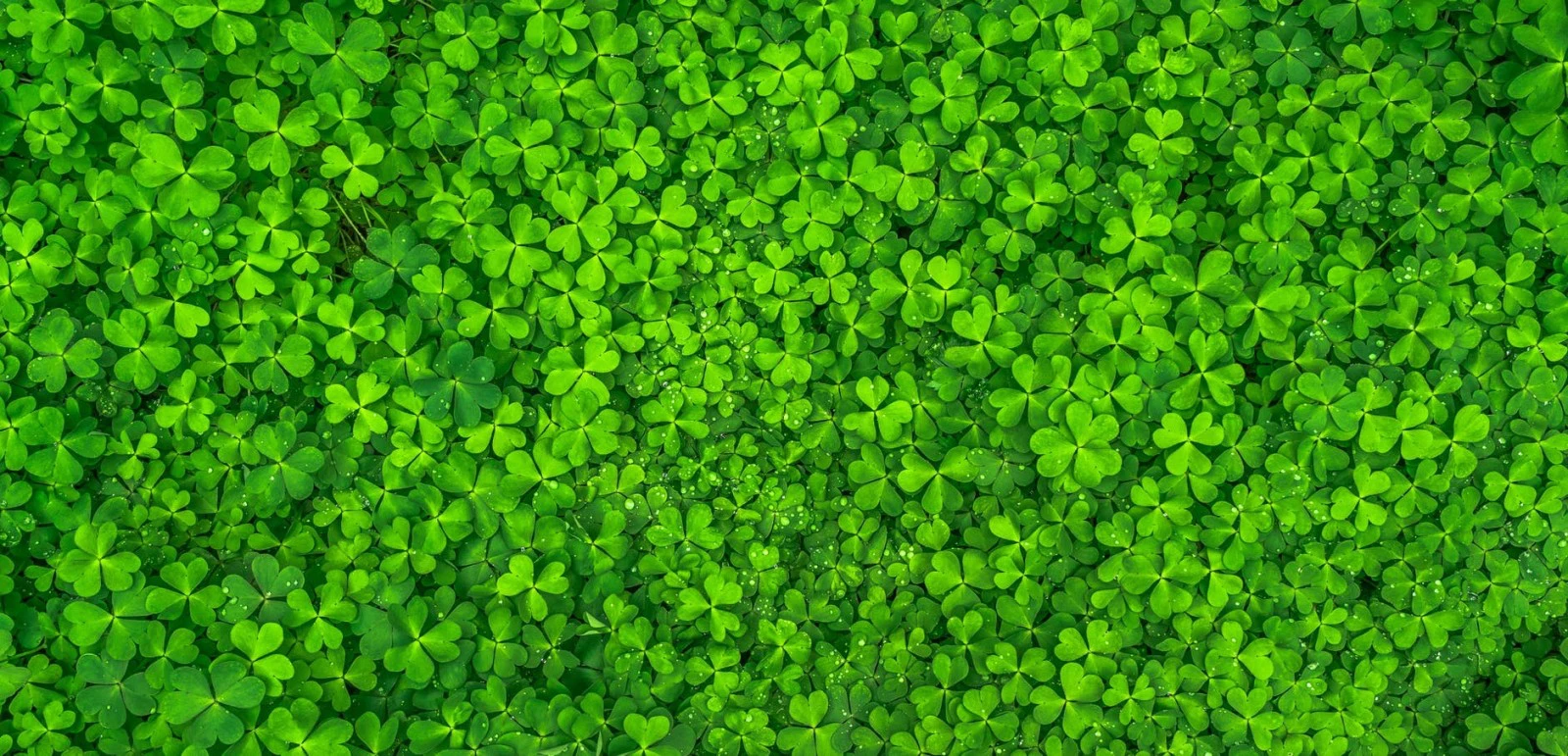 Saint Patrick's Day countdown - Event