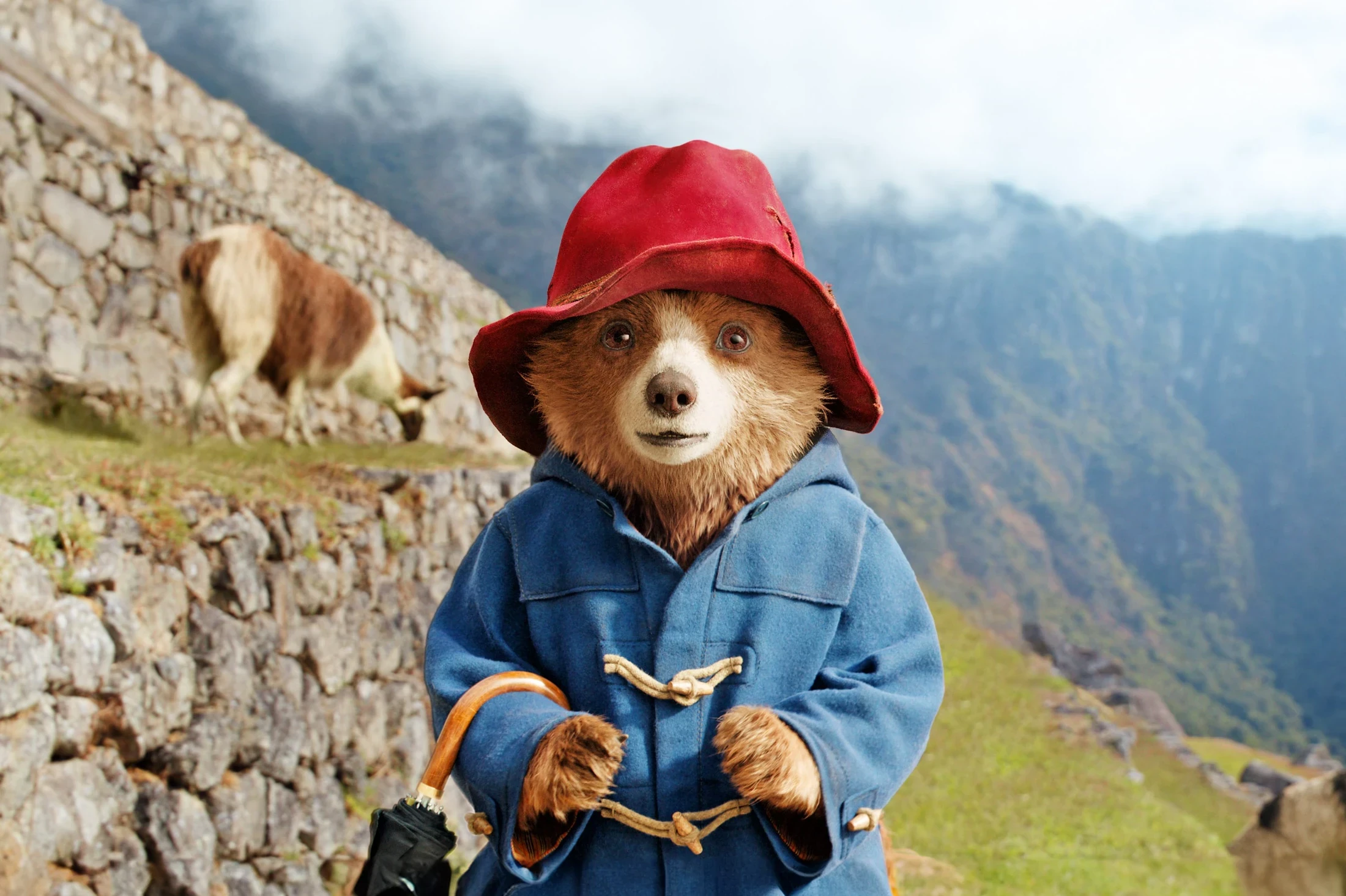 Paddington 4 countdown - Movie