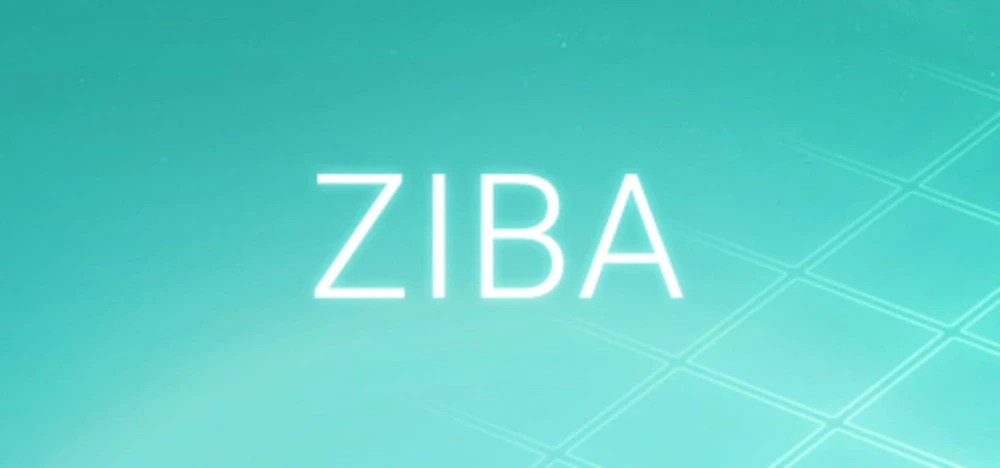 Ziba countdown - Game